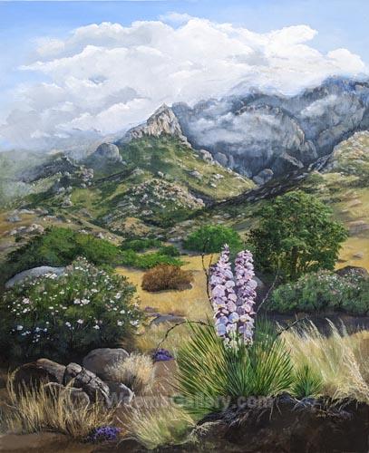 Cloudy Sandia Foothills by Sally McDevitt